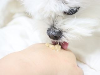 송린깡님이 올린 리뷰 사진 3