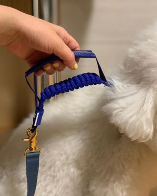 윤긍정님이 올린 리뷰 사진 4