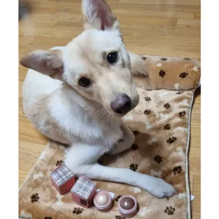 또니님이 올린 리뷰 사진 3