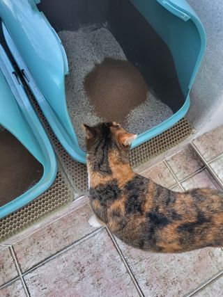 호롤로님이 올린 리뷰 사진 2