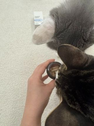 yyyy님이 올린 리뷰 사진 2