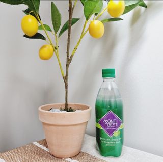 몽베스트 Montbest with Sparkling water Lime20병 — 5점을 준 리뷰어가 2022년 10월 올린 사용 사진
