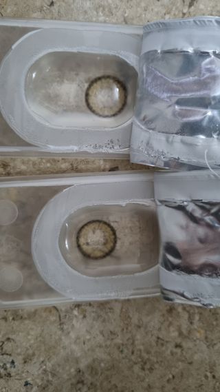 내장산속리산님이 올린 리뷰 사진 2