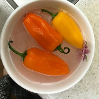물새님이 올린 리뷰 사진 4
