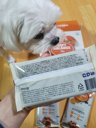 씨디랩 속이 편한 강아지 사료 소프트발란스 기호성 좋은 발효사료 피부와 위장 관절과 위장 — 5점을 준 리뷰어가 2021년 3월 올린 사용 사진