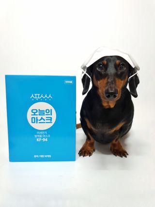 [심폐소생소] KF94 오늘의 마스크 대형 — 5점을 준 리뷰어가 2021년 9월 올린 사용 사진