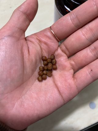 루우가님이 올린 리뷰 사진 4