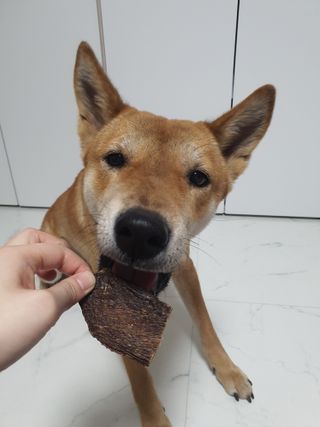 루비님이 올린 리뷰 사진 3