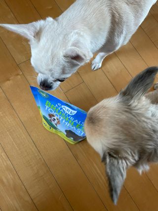 uc9v0shedk님이 올린 리뷰 사진 2
