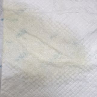 아베크 펫 와이드 프리미엄 중형 애견 강아지 배변 패드 54매 1팩 45g — 5점을 준 리뷰어가 2021년 7월 올린 사용 사진