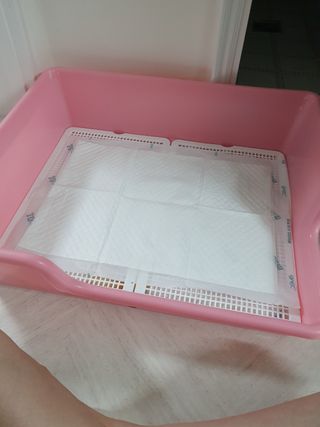 아베크 펫 와이드 프리미엄 중형 애견 강아지 배변 패드 54매 1팩 45g — 5점을 준 리뷰어가 2021년 7월 올린 사용 사진