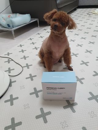 페페로니 클린플러스 덴탈치킨껌 10g x 14p — 5점을 준 리뷰어가 2021년 7월 올린 사용 사진