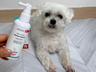 프리[경남제약 레모나x댕모어]  강아지 고양이 구취제거 충치 예방 덴탈클리너 120ml — 5점을 준 리뷰어가 2024년 7월 올린 사용 사진