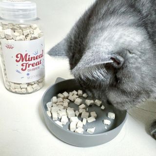프롬씨 미네랄 소고기트릿 / 미네랄 치킨트릿 / 미네랄 북어트릿 (3가지 상품 중 랜덤 1가지 상품 랜덤 발송) — 5점을 준 리뷰어가 2022년 11월 올린 사용 사진