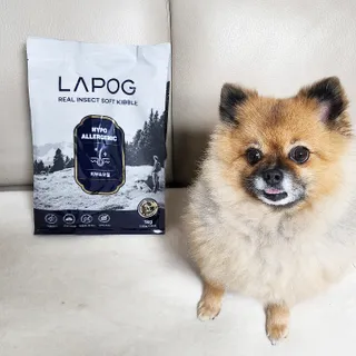 [푸디웜] 라포그 리얼인섹트 소프트키블 스킨 1KG — 5점을 준 리뷰어가 2022년 9월 올린 사용 사진