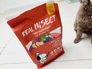 [푸디웜] 라포그  리얼인섹트 관절 저알러지 강아지 사료  1.2KG — 5점을 준 리뷰어가 2022년 8월 올린 사용 사진