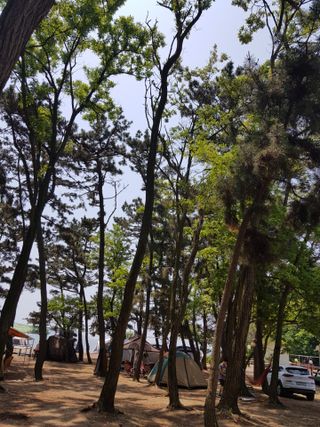 0.8L 마케팅팀 - — 5점을 준 리뷰어가 2021년 5월 올린 사용 사진