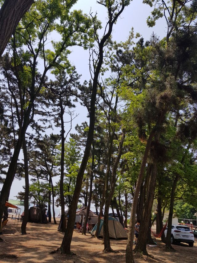 - 리뷰 사진