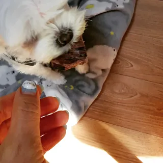 뿌꾸님이 올린 리뷰 사진 3