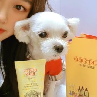 버츠비 케어플러스 릴리빙포앤노즈로션 — 5점을 준 리뷰어가 2021년 4월 올린 사용 사진