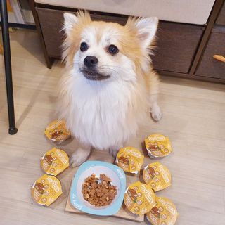 좋아님이 올린 리뷰 사진 1