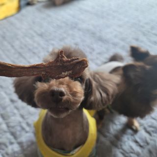 나초단맘님이 올린 리뷰 사진 2