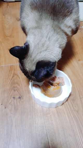 쇼군오마니님이 올린 리뷰 사진 2