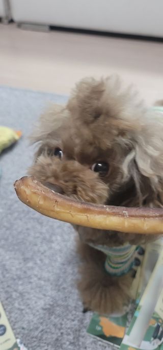 나초단맘님이 올린 리뷰 사진 4