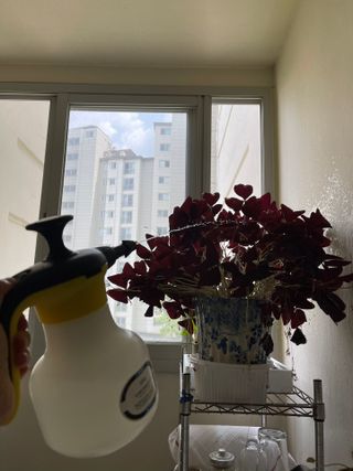 램프의요정님이 올린 리뷰 사진 1