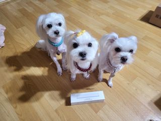 아카라 어두울 때만 켜지는 스마트 무선 센서등 — 4점을 준 리뷰어가 2021년 11월 올린 사용 사진