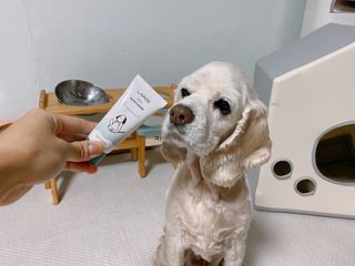 cobemom님이 올린 리뷰 사진 1