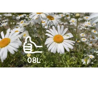 0.8L 마케팅팀 - — 4.5점을 준 리뷰어가 2021년 5월 올린 사용 사진