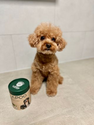 harumom님이 올린 리뷰 사진 2