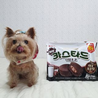 솜희님이 올린 리뷰 사진 4
