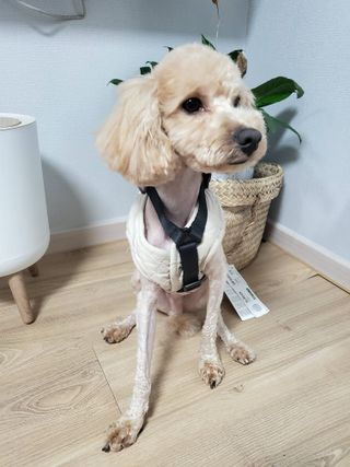 여니래미라운지님이 올린 리뷰 사진 2