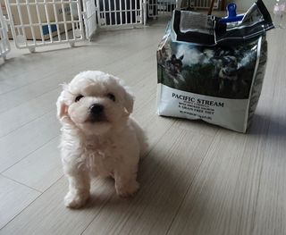 엘쏘둥님이 올린 리뷰 사진 2