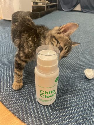whol 키토클린 200ml - 항균항바이러스 강아지 눈 코 입 귀 세정탈취 고양이 턱드름제거 무향 워터리스 대용량 — 5점을 준 리뷰어가 2022년 9월 올린 사용 사진