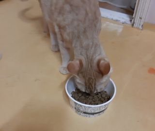 moomoon님이 올린 리뷰 사진 4