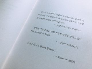 모닝스타님이 올린 리뷰 사진 3