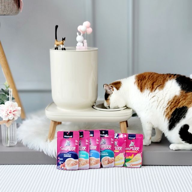 비타크래프트 고양이 수프 50g 3가지맛 x4팩씩 총 12팩 리뷰 사진