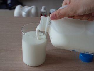 프리_[덴마크] 진하고 더 고소한 플레인 요거트 1.8L — 5점을 준 리뷰어가 2025년 5월 올린 사용 사진