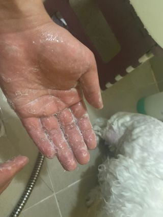 보습 촉촉 린스가 필요 없는 코코몰리 올인원 자연 유래 샴푸 130ml — 5점을 준 리뷰어가 2021년 1월 올린 사용 사진