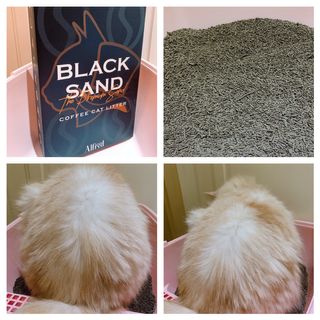 똥비님이 올린 리뷰 사진 3