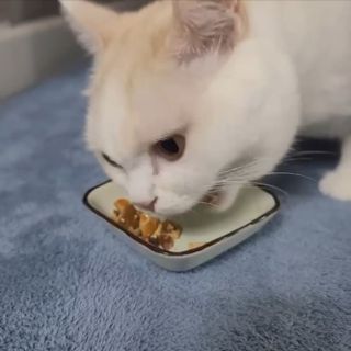 랴님이 올린 리뷰 사진 3