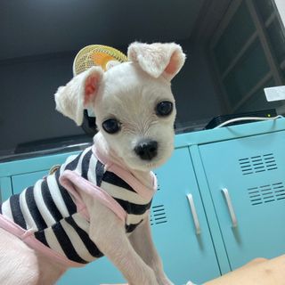 잇쿠님이 올린 리뷰 사진 4