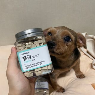 페페로니 자기전에 먹는 저알러지 껌 세트 치킨+오리 — 5점을 준 리뷰어가 2021년 7월 올린 사용 사진