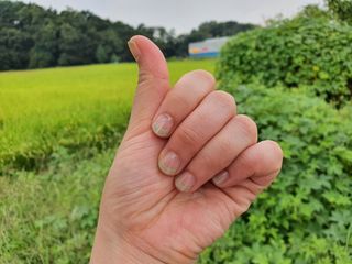데싱디바 글레이즈 젤네일 스프링 프렌치 네일_5종 중 택 1 — 4점을 준 리뷰어가 2021년 9월 올린 사용 사진
