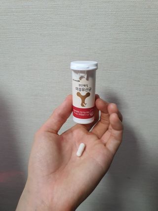 메이준뉴트리 메이준쎌 편안해질 여성유산균 — 5점을 준 리뷰어가 2021년 1월 올린 사용 사진