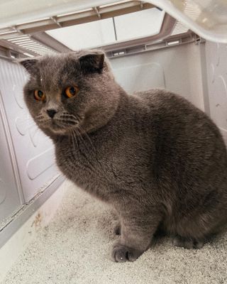 라기라기님이 올린 리뷰 사진 2