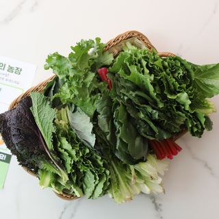 레비올라님이 올린 리뷰 사진 3